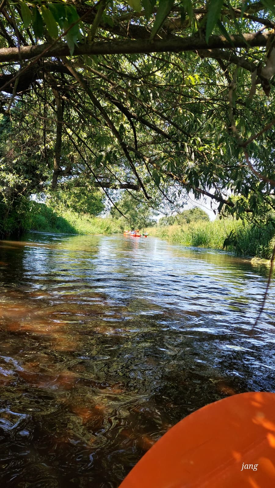 spływ kajakowy